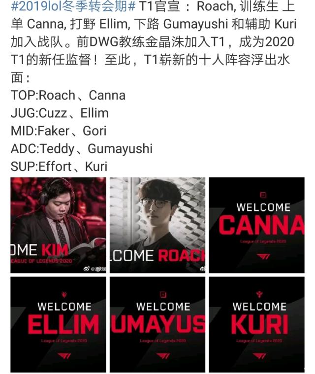 重新绽放了 重新绽放了